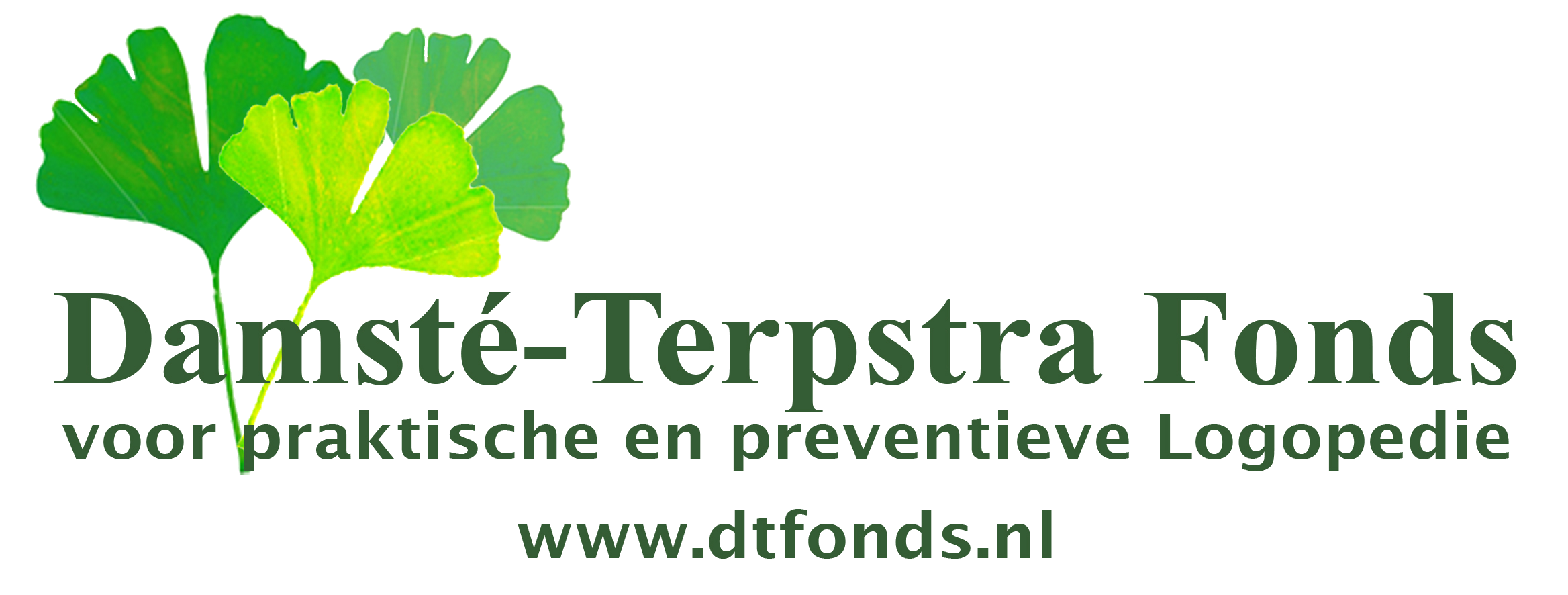 Damsté Terpstra Fonds Logo